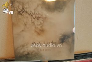ALBUM KIẾP NÀO CÓ YÊU NHAU (1)