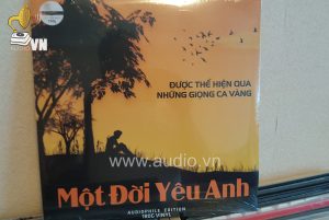 . ALBUM MỘT ĐỜI YÊU ANH (1)