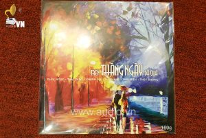 Trên những tháng ngày đã qua