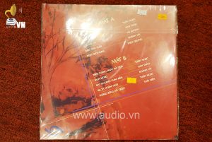 Trên những tháng ngày đã qua