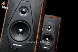 sonus faber olympica 1 (1)