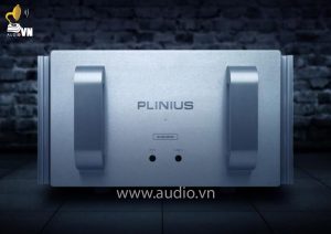 plinius sa reference (3)