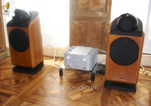 plinius sa reference (6)